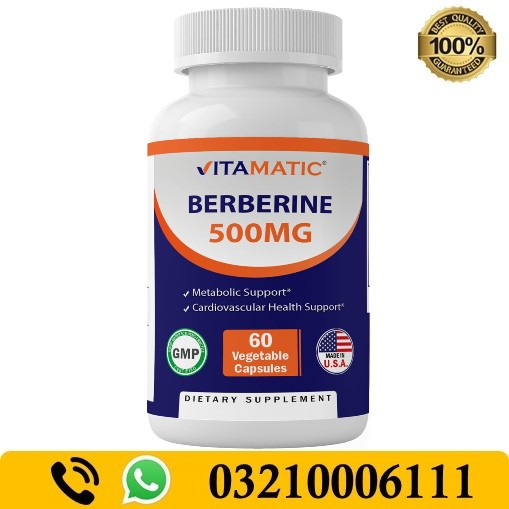 Vitamatic Berberine Supplement 500mg in Pakistan